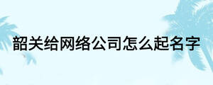 韶關(guān)給網(wǎng)絡(luò)公司怎么起名字