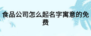 食品公司怎么起名字寓意的免費(fèi)
