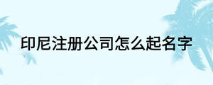 印尼注冊公司怎么起名字