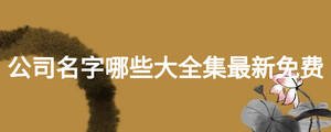 公司名字哪些大全集最新免費