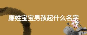 廉姓寶寶男孩起什么名字
