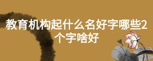 教育機構(gòu)起什么名好字哪些2個字啥好
