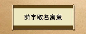 蒔字取名寓意