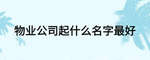 物業(yè)公司起什么名字最好