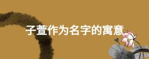 子萱作為名字的寓意