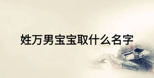 姓萬(wàn)男寶寶取什么名字