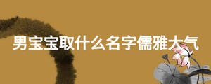 男寶寶取什么名字儒雅大氣