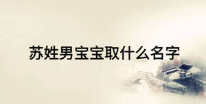 蘇姓男寶寶取什么名字