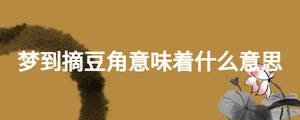 夢(mèng)到摘豆角意味著什么意思