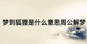 夢(mèng)到狐貍是什么意思周公解夢(mèng)