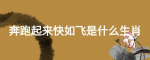 奔跑起來快如飛是什么生肖