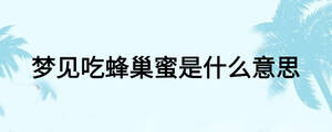 夢見吃蜂巢蜜是什么意思