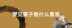 夢(mèng)見栗子是什么意思