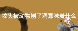 墳頭被動(dòng)物刨了洞意味著什么