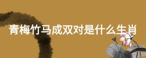 青梅竹馬成雙對(duì)是什么生肖