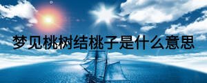 夢見桃樹結桃子是什么意思