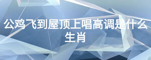 公雞飛到屋頂上唱高調(diào)是什么生肖