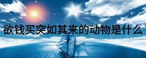 欲錢買突如其來的動(dòng)物是什么