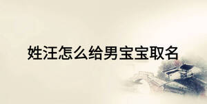 姓汪怎么給男寶寶取名