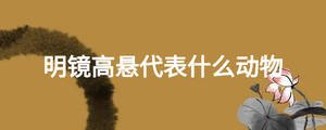 明鏡高懸代表什么動(dòng)物
