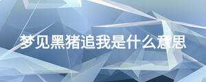 夢(mèng)見黑豬追我是什么意思
