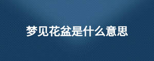 夢(mèng)見花盆是什么意思