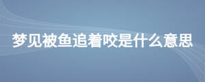 夢見被魚追著咬是什么意思