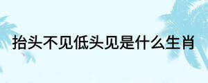 抬頭不見低頭見是什么生肖
