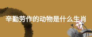 辛勤勞作的動物是什么生肖