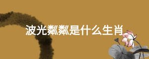 波光粼粼是什么生肖