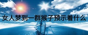 女人夢到一群猴子預(yù)示著什么