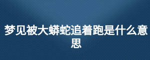 夢(mèng)見(jiàn)被大蟒蛇追著跑是什么意思