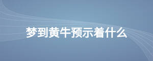 夢(mèng)到黃牛預(yù)示著什么