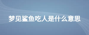 夢見鯊魚吃人是什么意思