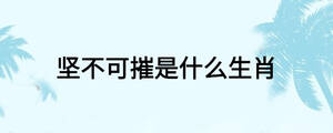 堅(jiān)不可摧是什么生肖