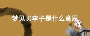 夢(mèng)見(jiàn)買(mǎi)李子是什么意思