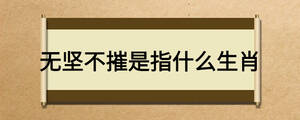 無(wú)堅(jiān)不摧是指什么生肖