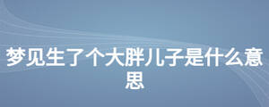 夢見生了個大胖兒子是什么意思