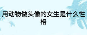 用動物做頭像的女生是什么性格