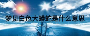 夢(mèng)見白色大蟒蛇是什么意思