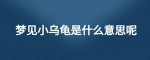 夢見小烏龜是什么意思呢