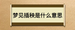 夢見插秧是什么意思