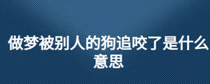 做夢被別人的狗追咬了是什么意思