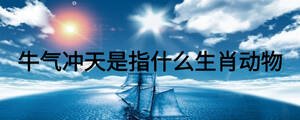 牛氣沖天是指什么生肖動物