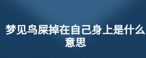夢見鳥屎掉在自己身上是什么意思