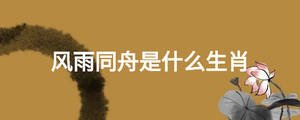 風雨同舟是什么生肖
