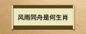 風(fēng)雨同舟是何生肖