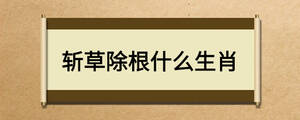 斬草除根什么生肖