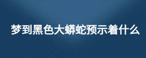 夢到黑色大蟒蛇預(yù)示著什么