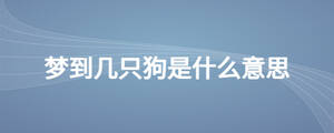夢(mèng)到幾只狗是什么意思